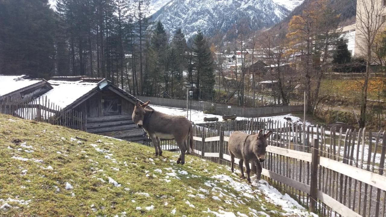 브란트 Haus Bruegga 아파트 외부 사진
